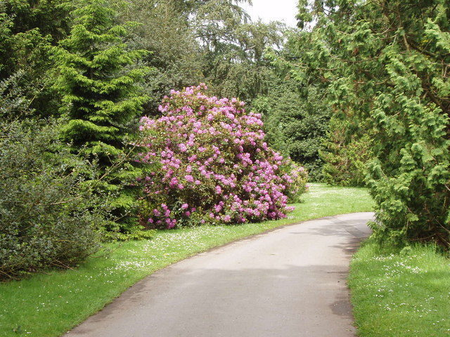 Elegant lane in Kew botanical garden