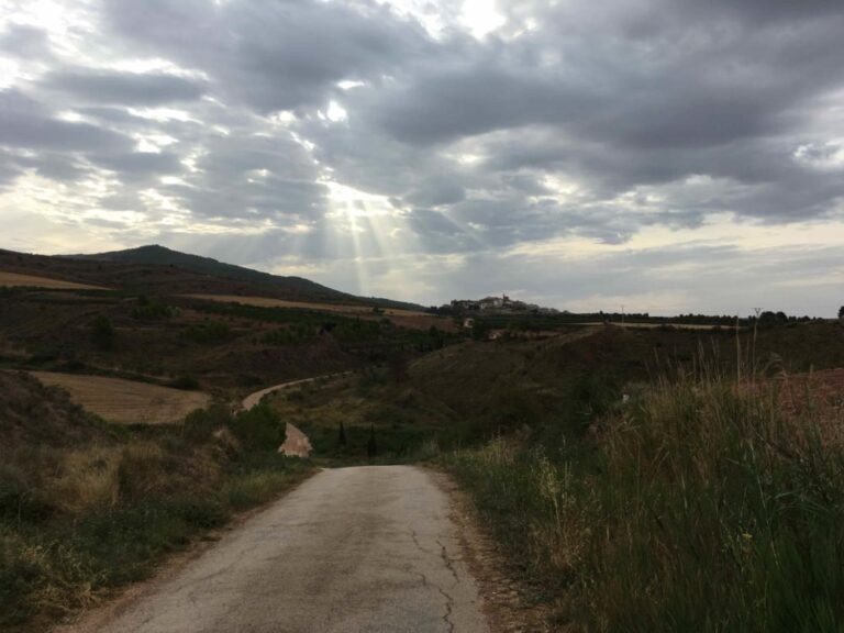 Enjoy the Journey of Life