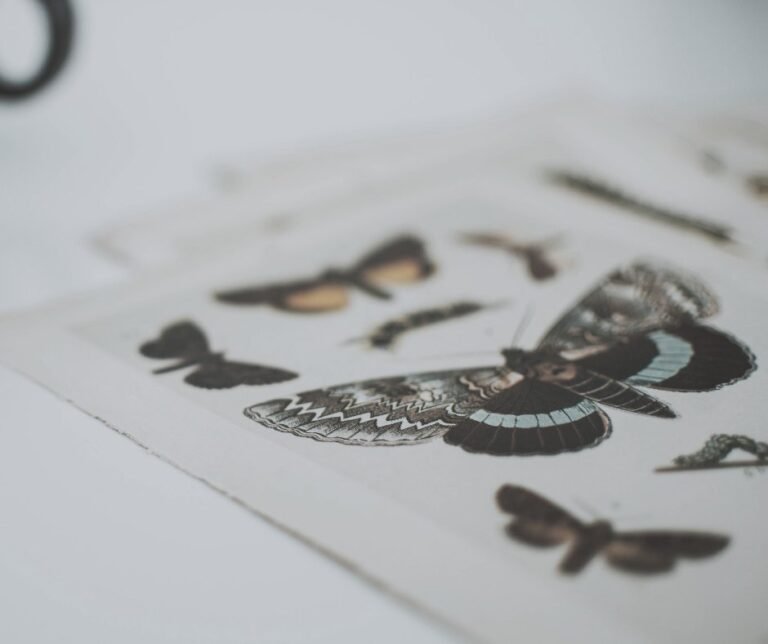 Little things make big difference