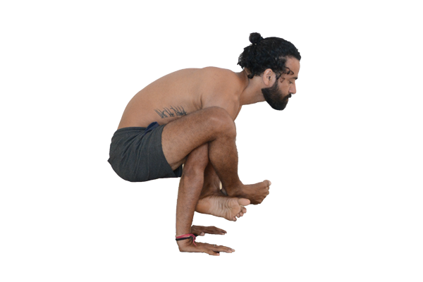 Bhujapidasana-A