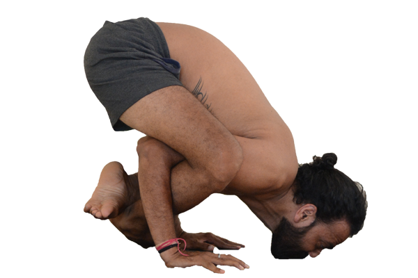 Bhujapidasana-b