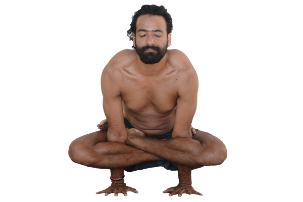 Kukkutasana