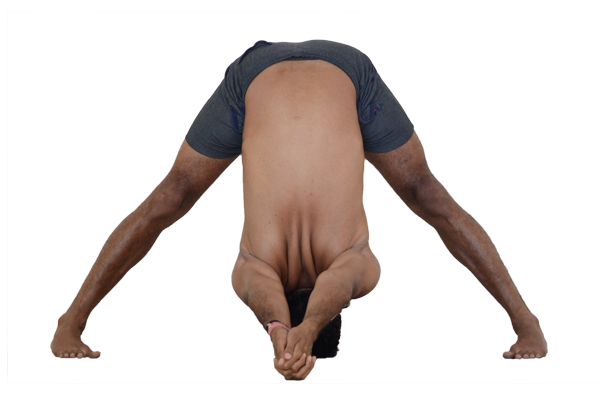 Prasarita-Padottanasana-c