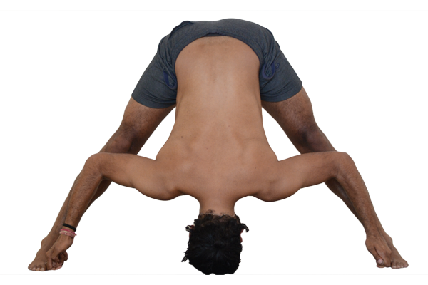 Prasarita-Padottanasana-d