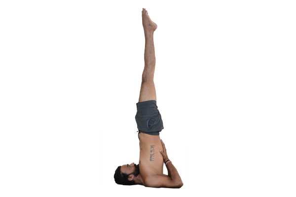 Salamba-Sarvangasana