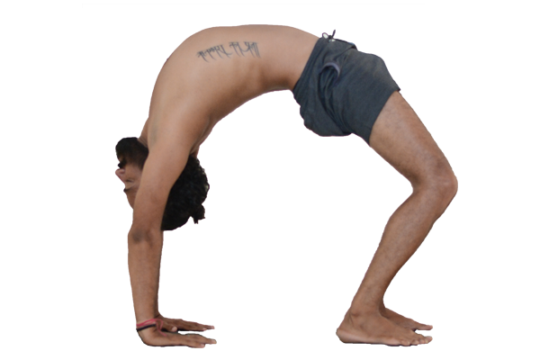 Urdhva-Dhanurasana