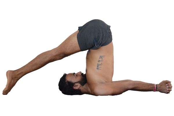 halasana