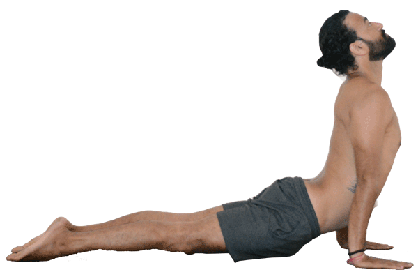 Urdhva-Mukha-Svanasana