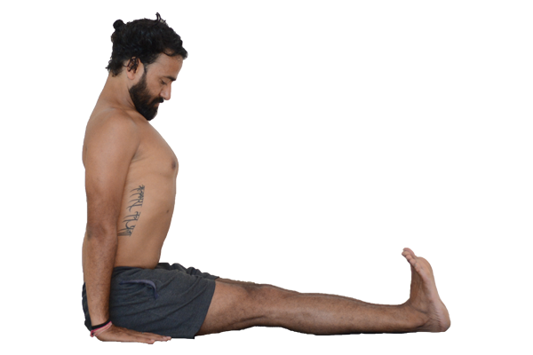 dandasana