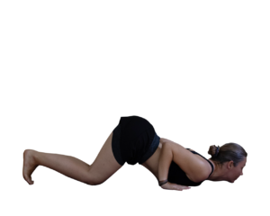 Ashtanga-Namaskar