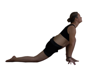 Ashwasanchalanasana-Equestrian-Pose