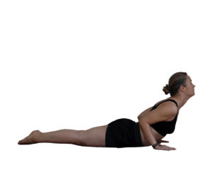 Bhujangasana-Cobra-Pose