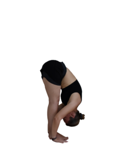 pada-hastasana