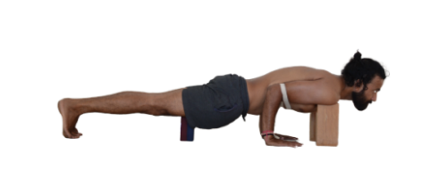 Chaturanga Dandasana or Four-Limbed - YogaFit_ArchanaShah