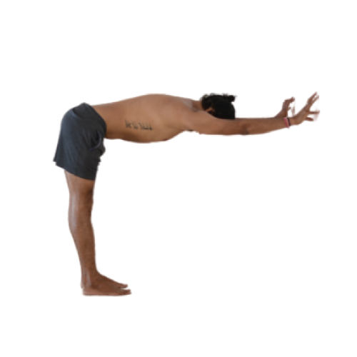 Ardha-Uttanasana-2