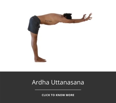 Ardha-Uttanasana-featured-image