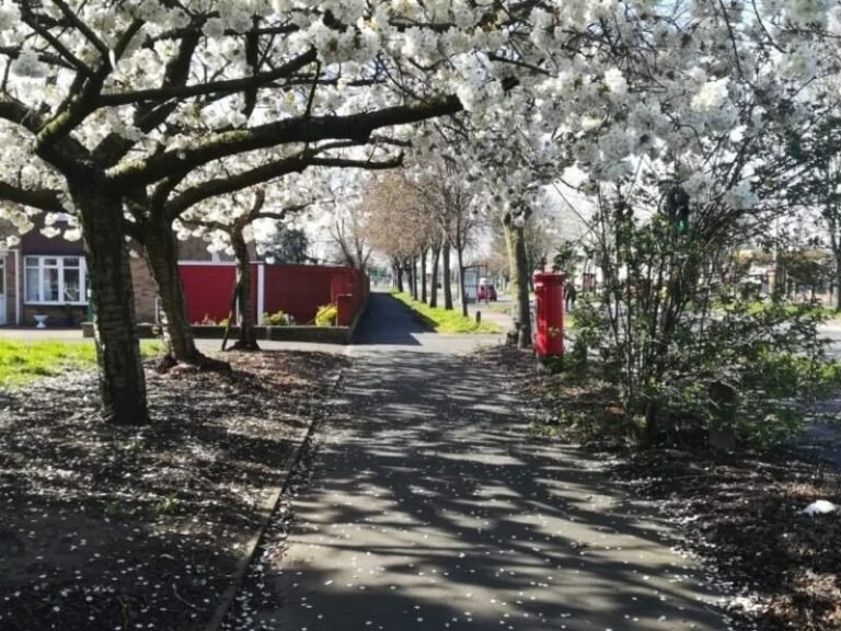 in praise of small things