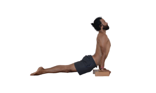 urdhva-mukha-svanasana-7