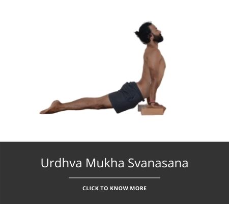 urdhva-mukha-svanasana-featured-image