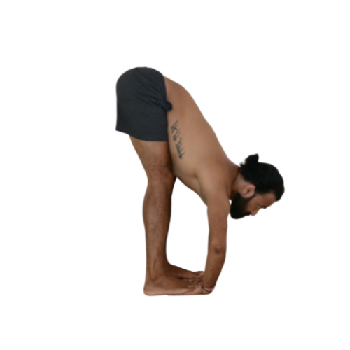 Pada-Hastasana