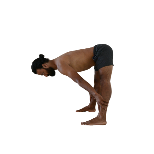 Prasarita-Padottanasana-10