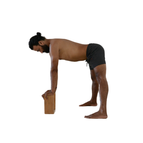 Prasarita-Padottanasana-3