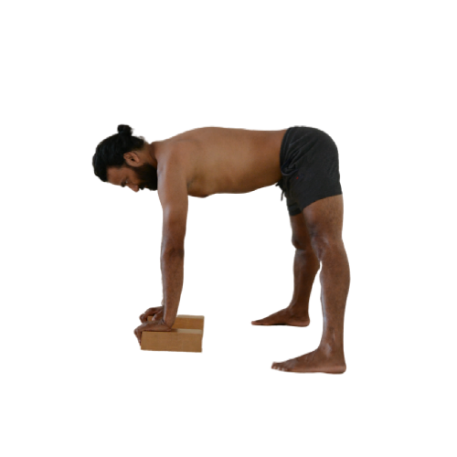 Prasarita-Padottanasana-4