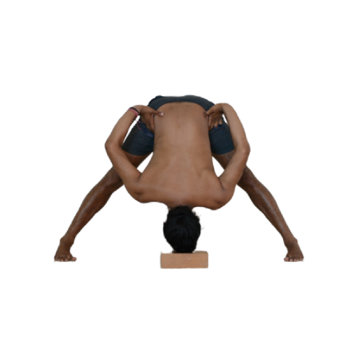 Prasarita-Padottanasana-8