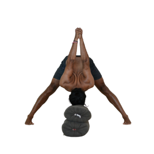 Prasarita-Padottanasana-9