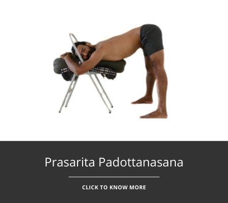 Prasarita-Padottanasana-image