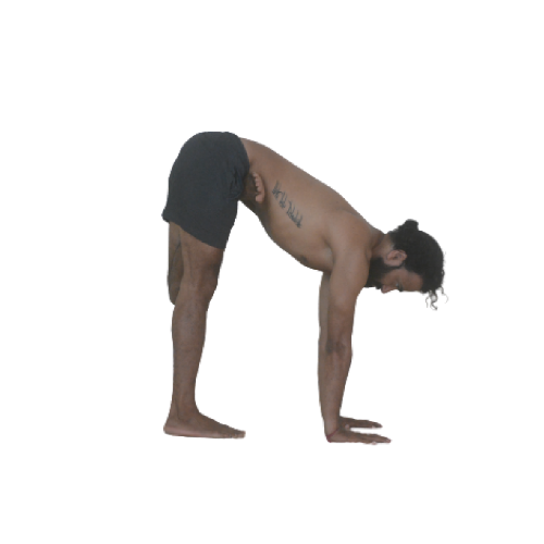 Ardha-Baddha-Padmottanasana-d