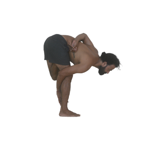 Ardha-Baddha-Padmottanasana-g