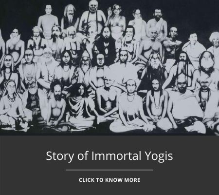 immortal-yogis-stories