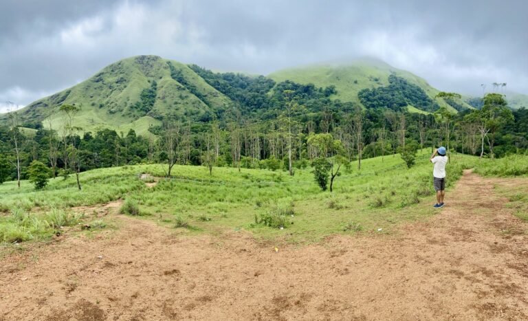 Munnar range Kerala Devvrat Yoga Sangha 2161 x 1313