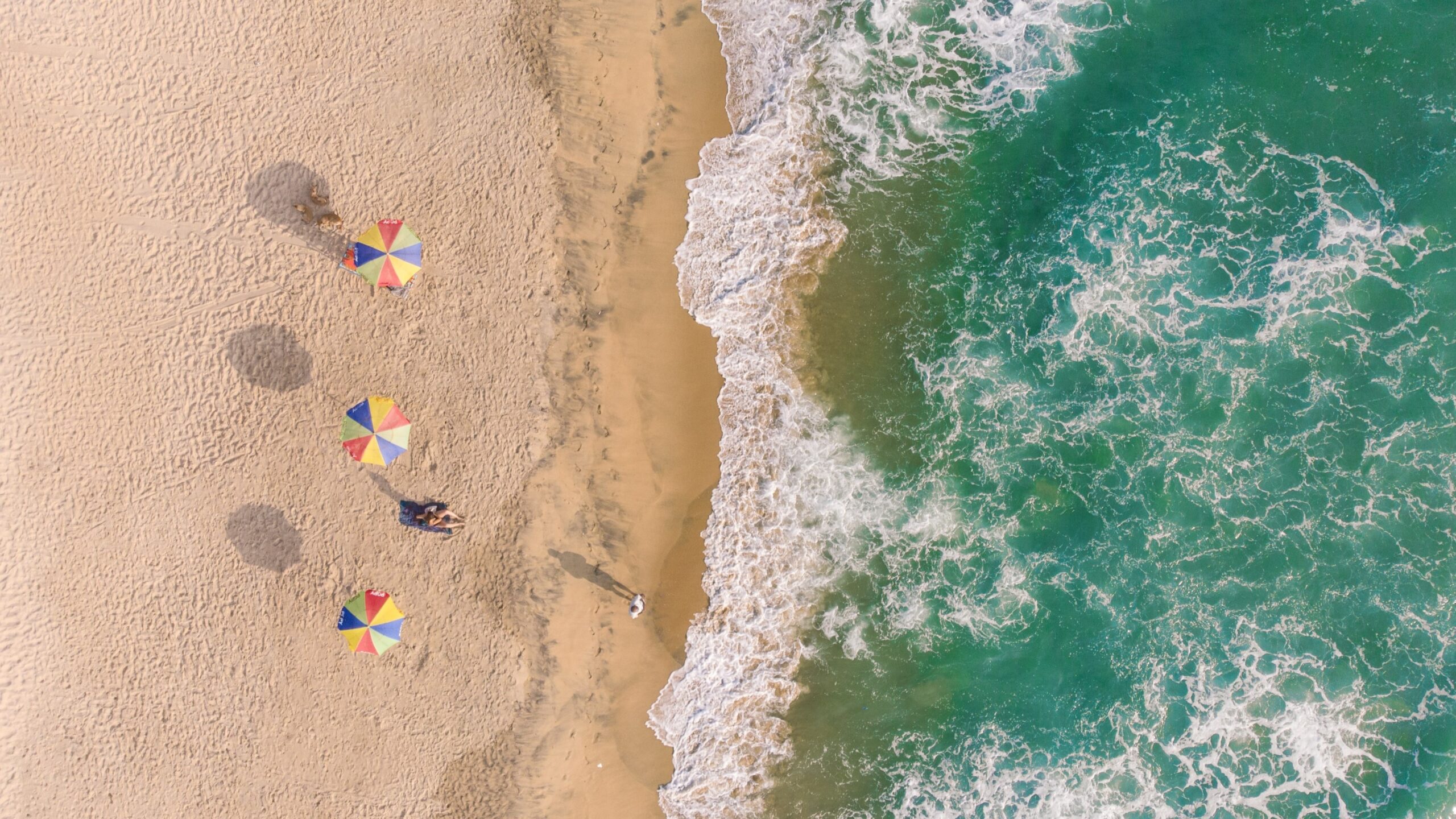 Varkala Beach