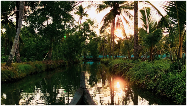 Alleppey Backwaters are Peerless