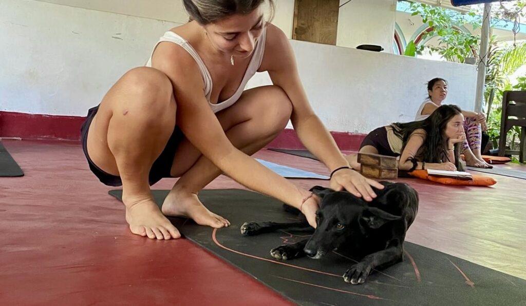 student-bonding-with-ashram-dog-devvrat-yoga-sangha-kerala