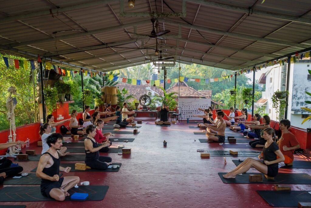 yoga asana 200H groupclass landscape.jpg